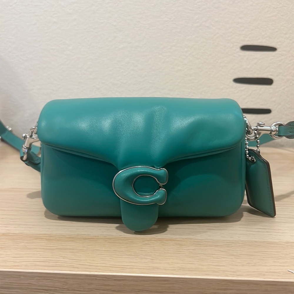 Coach pillow tabby 18